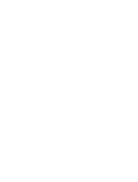 Feather Picture